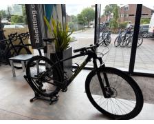 SPECIALIZED